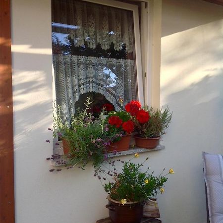 Am Mathildenbrunnen Klein Apartamento Quedlinburg Exterior foto