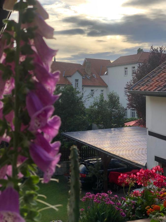 Am Mathildenbrunnen Klein Apartamento Quedlinburg Exterior foto